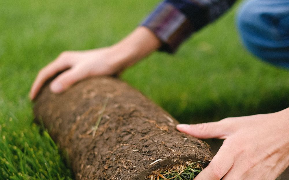 Graszoden uitrollen bij de aanleg van een gazon